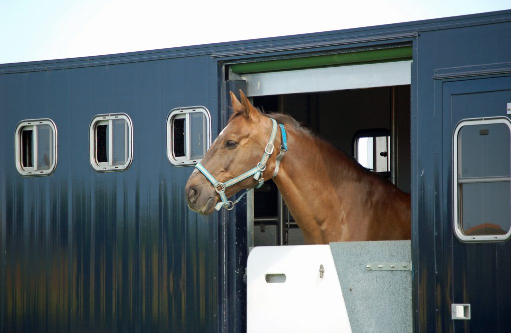 Horse box insurance