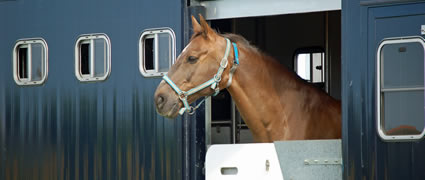 Horse box insurance