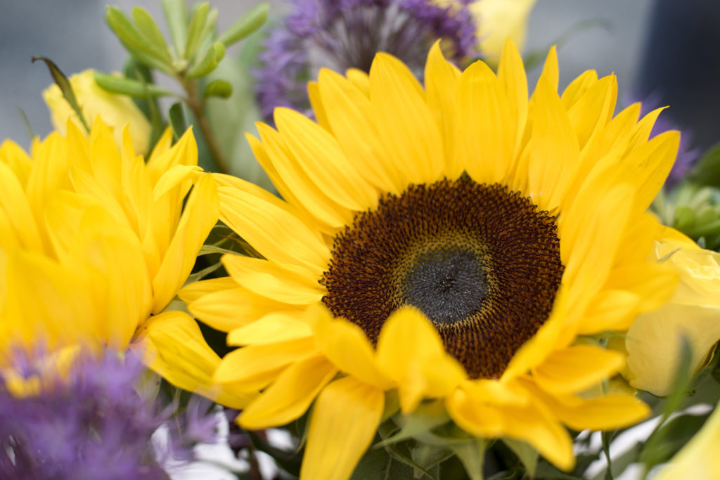 park home insurance holiday home insurance